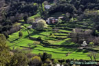 cevennes, printemps 2026,